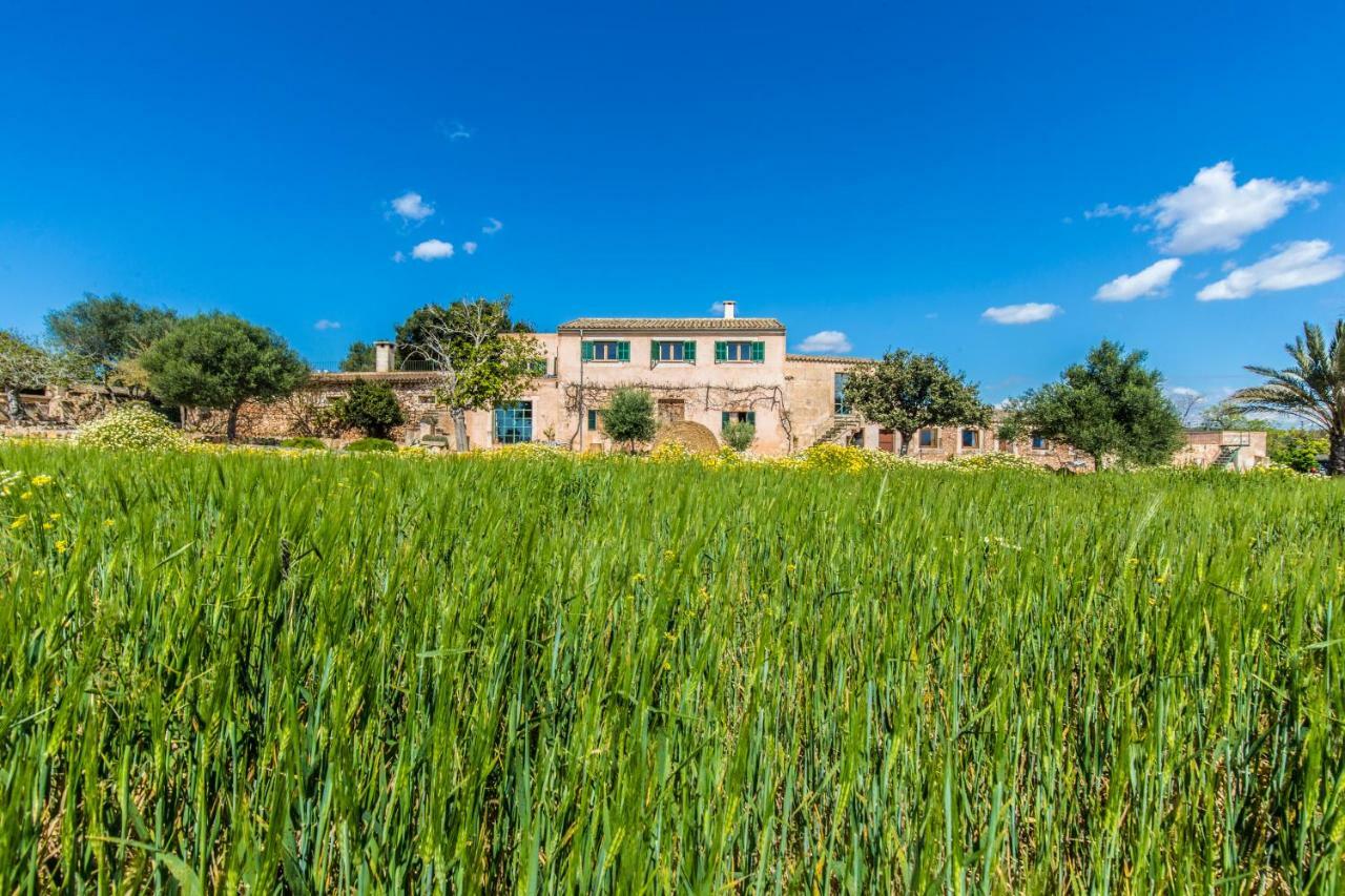 Finca Agroturismo Sa Cova Den Borino Campos  Exterior foto